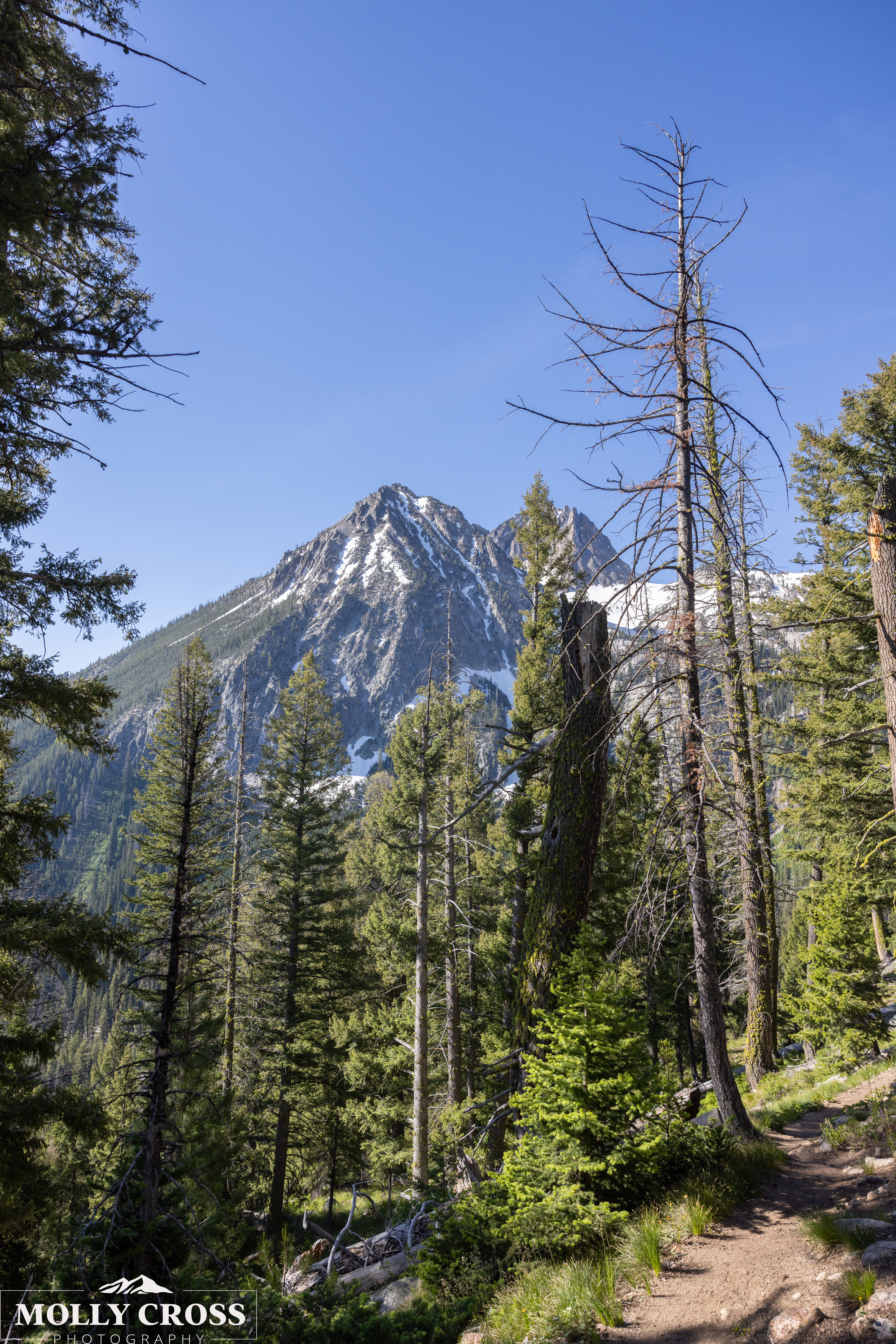 Idaho Mountain Elopement
